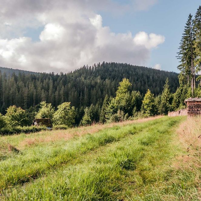 Eine traumhafte und naturnahe Landschaft eröffnet sich den Gartenschaubesuchern in 2025