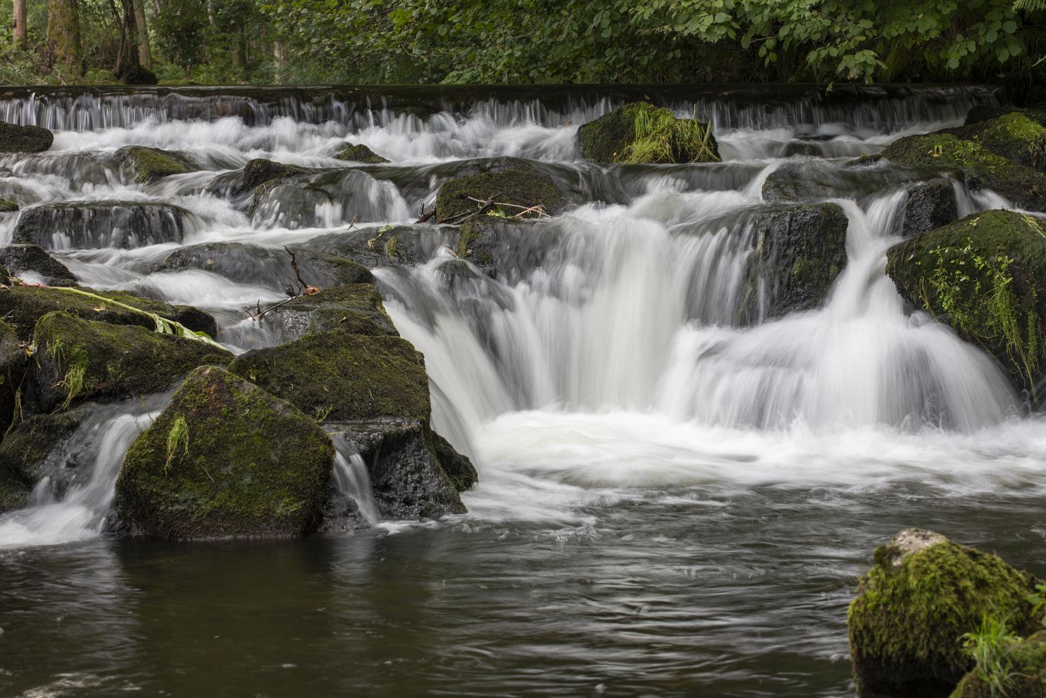 Der Forbach: Der Bach im Tal X