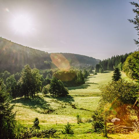 Das Bild zeigt die wunderbare Natur und Landschaft im Tal X, dem Schauplatz der Gartenschau 2025.