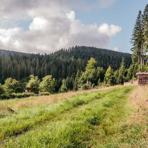 Eine traumhafte und naturnahe Landschaft eröffnet sich den Gartenschaubesuchern in 2025