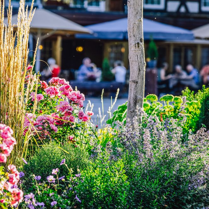 Gastronomie im stimmungsvollen Ambiente 