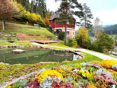 November im Tal X November im Tal X