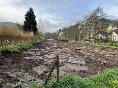 Das Gartendorf in Baiersbronn entsteht