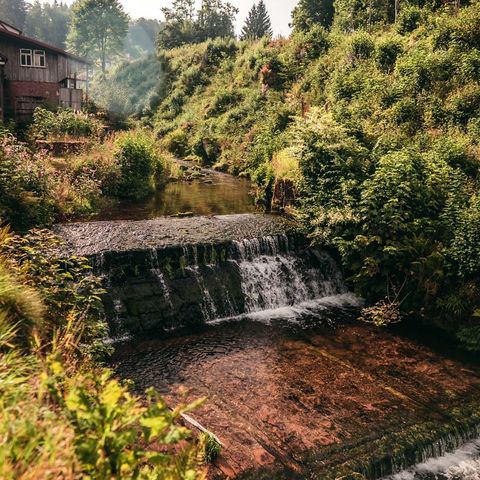 Das Bild zeigt den Fobach im Tal X.