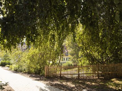 Der Märchenpark im Baiersbronner Oberdorf - Eine Sommeransicht mit grünen Bäumen