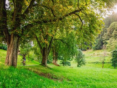 MTB Fahrer im Gartenschaugelände