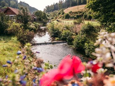 Blick nach Christophstal bei Freudenstadt